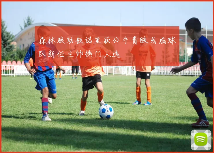 森林狼助教诺里获公牛青睐或成球队新任主帅热门人选