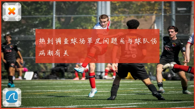 热刺调查球场草皮问题或与球队伤病潮有关